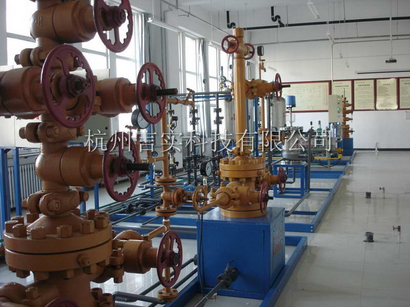  成功案例 217永信贵宾会